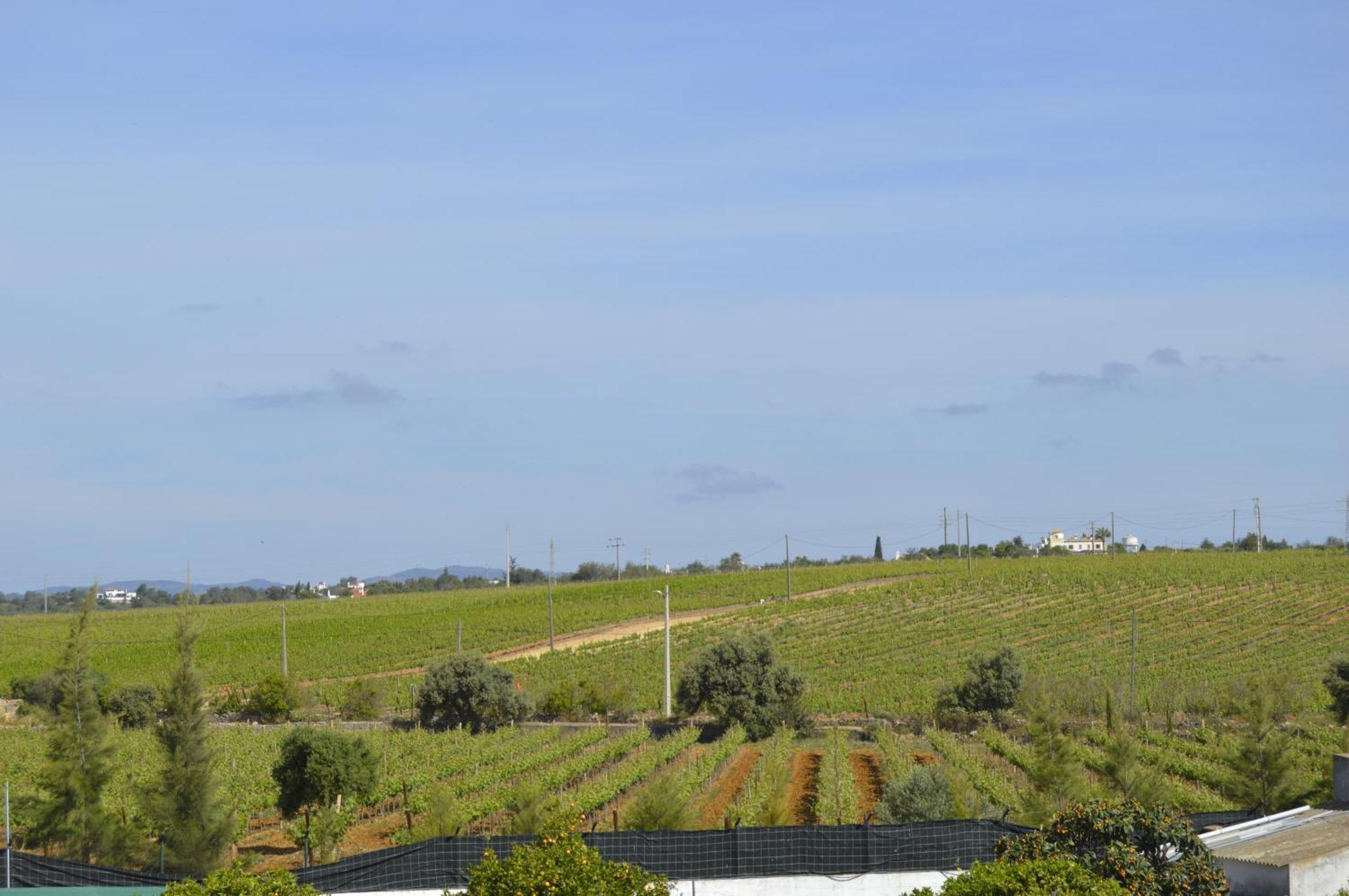 Tavira Vacations Apartments Buitenkant foto